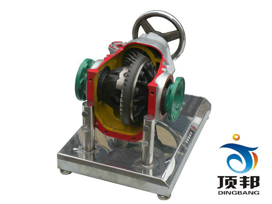 差速器解剖模型