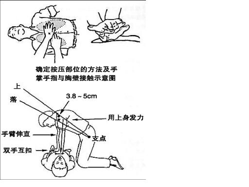��X�ķΏ�(f��)�Kģ�M��,��С�W(xu��)��ȫ����Ӗ(x��n)��ģ�M��