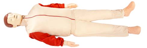 ��X�ķΏ�(f��)�Kģ�M��,��С�W(xu��)��ȫ����Ӗ(x��n)��ģ�M��