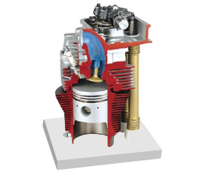 帶凸輪軸的氣缸和氣缸解剖模型