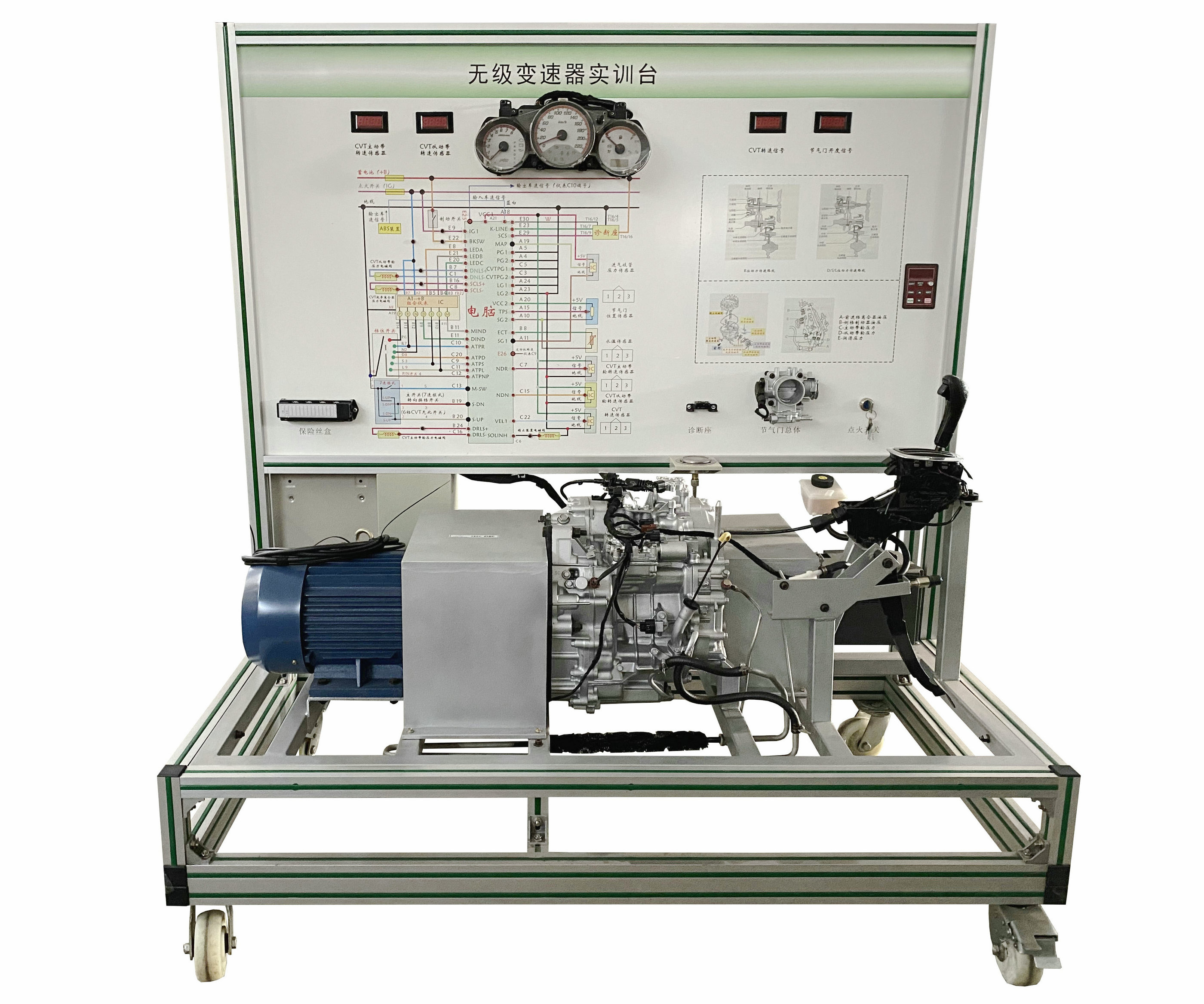 �o�O׃������(sh��)Ӗ(x��n)�_(t��i)