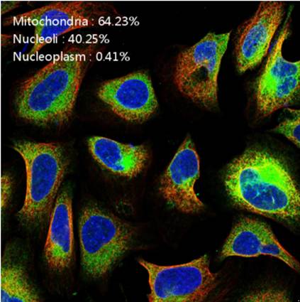 蛋白質(zhì)分類評估